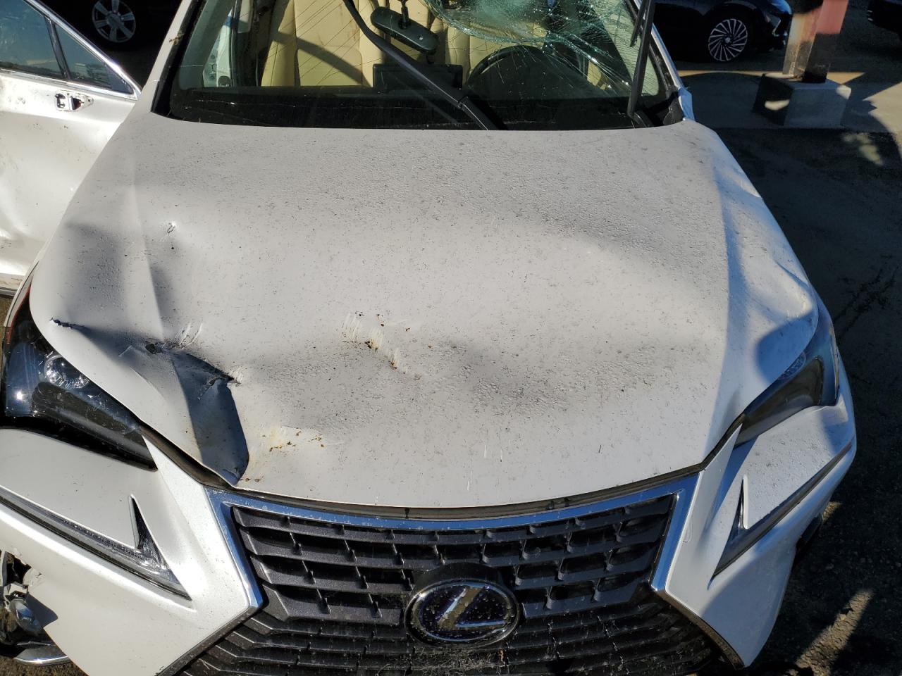 2020 Lexus NX - Image 13