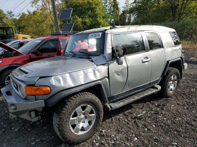 2010 Toyota Fj Cruiser 