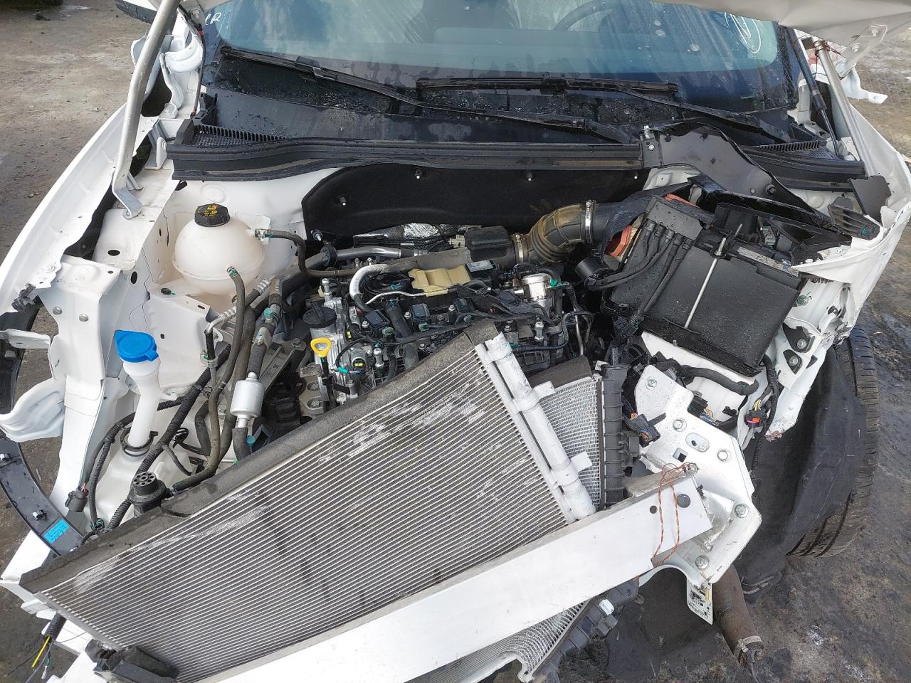 LJXCU3BB8STF08711 - 2025 Ford TERRITORY - #83926514