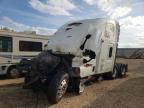 2013 Freightliner Cascadia 125  en Venta en Temple, TX - All Over