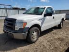 2014 Ford F150  продається в Kapolei, HI - Rear End