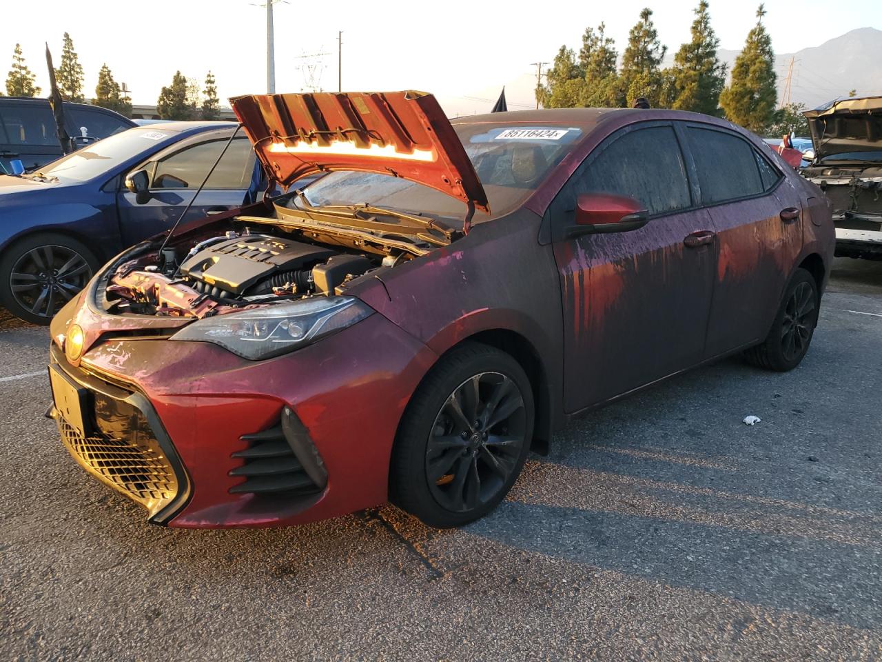 2019 Toyota Corolla - Image 1