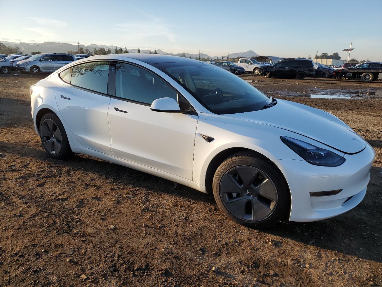 2021 Tesla Model 3 VIN: 5YJ3E1EBXMF010041 Lot: 85822004