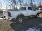 2011 Dodge Ram 1500  de vânzare în New Britain, CT - All Over