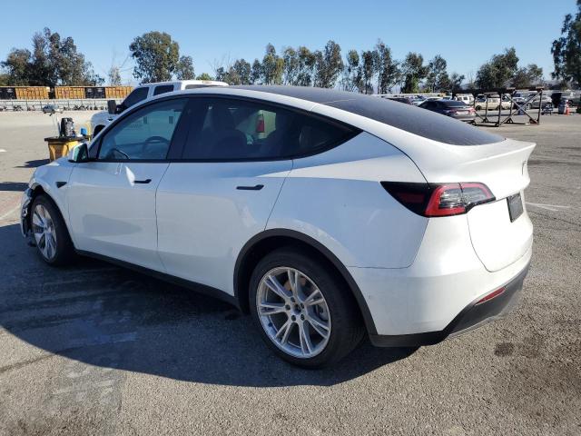  TESLA MODEL Y 2021 White