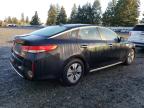 2017 Kia Optima Hybrid на продаже в Graham, WA - All Over