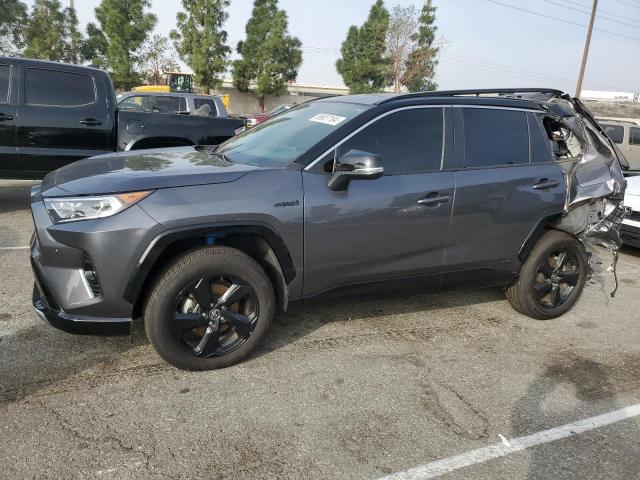  TOYOTA RAV4 2021 Gray