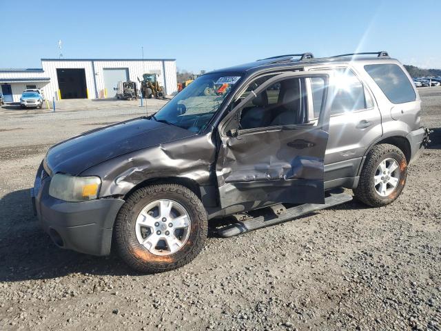 2006 Ford Escape Xlt