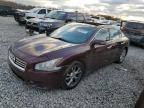 2014 Nissan Maxima S იყიდება Memphis-ში, TN - Front End