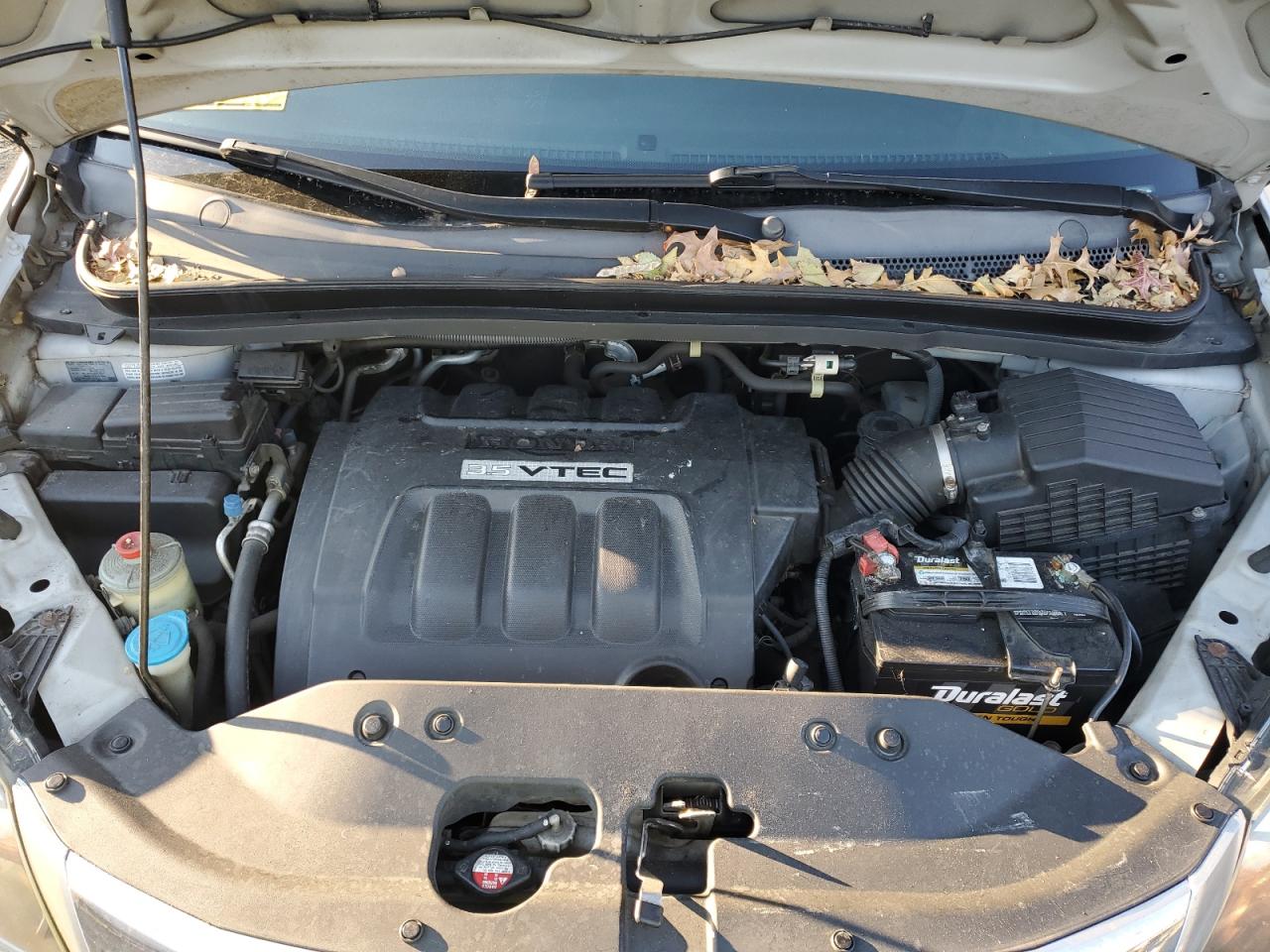 2009 Honda Odyssey Ex VIN: 5FNRL38499B019250 Lot: 42084885