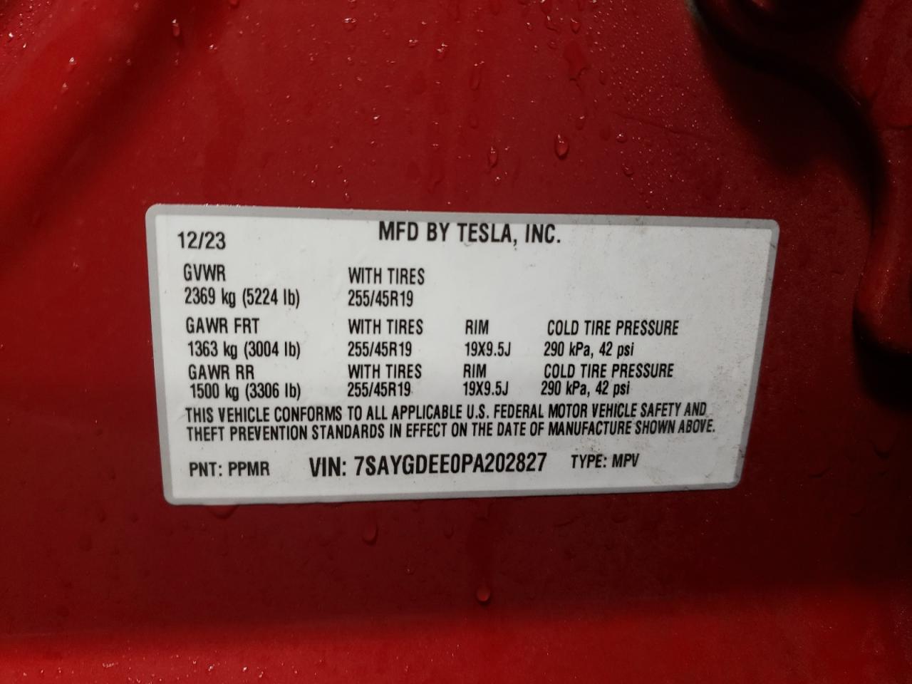 2023 Tesla Model Y VIN: 7SAYGDEE0PA202827 Lot: 82845174