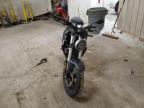 2019 Honda Cbf300 Na for Sale in Madisonville, TN - Minor Dent/Scratches