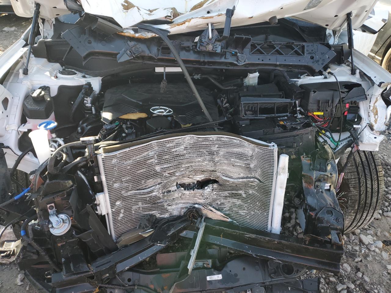 2024 Hyundai Palisade Calligraphy VIN: KM8R74GE1RU725149 Lot: 84270674