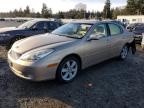 2005 Lexus Es 330 للبيع في Graham، WA - Rear End