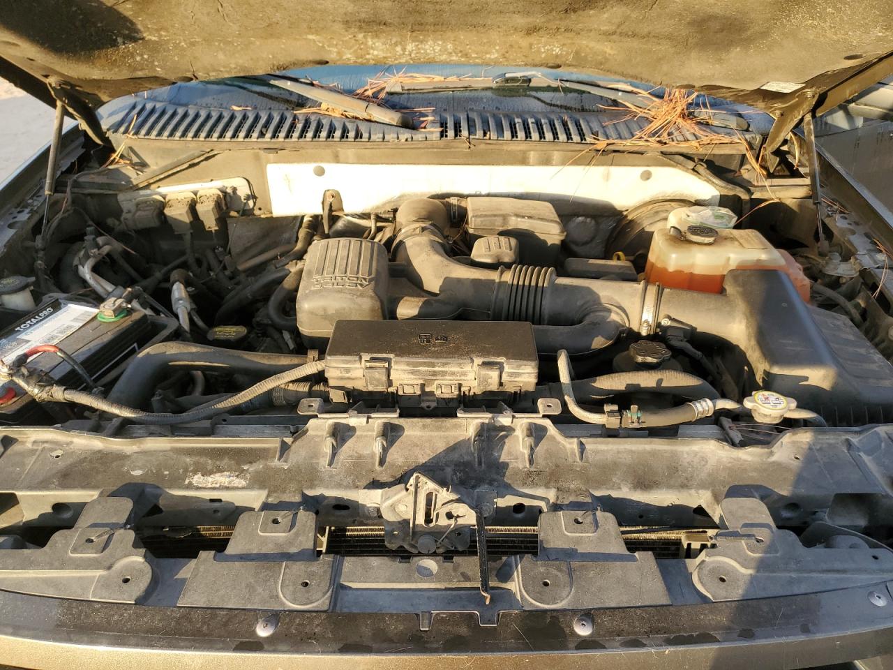 2009 Ford Expedition Limited VIN: 1FMFU19559LA14597 Lot: 86270804