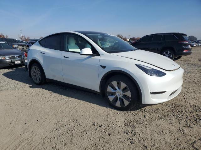  TESLA MODEL Y 2023 Белы