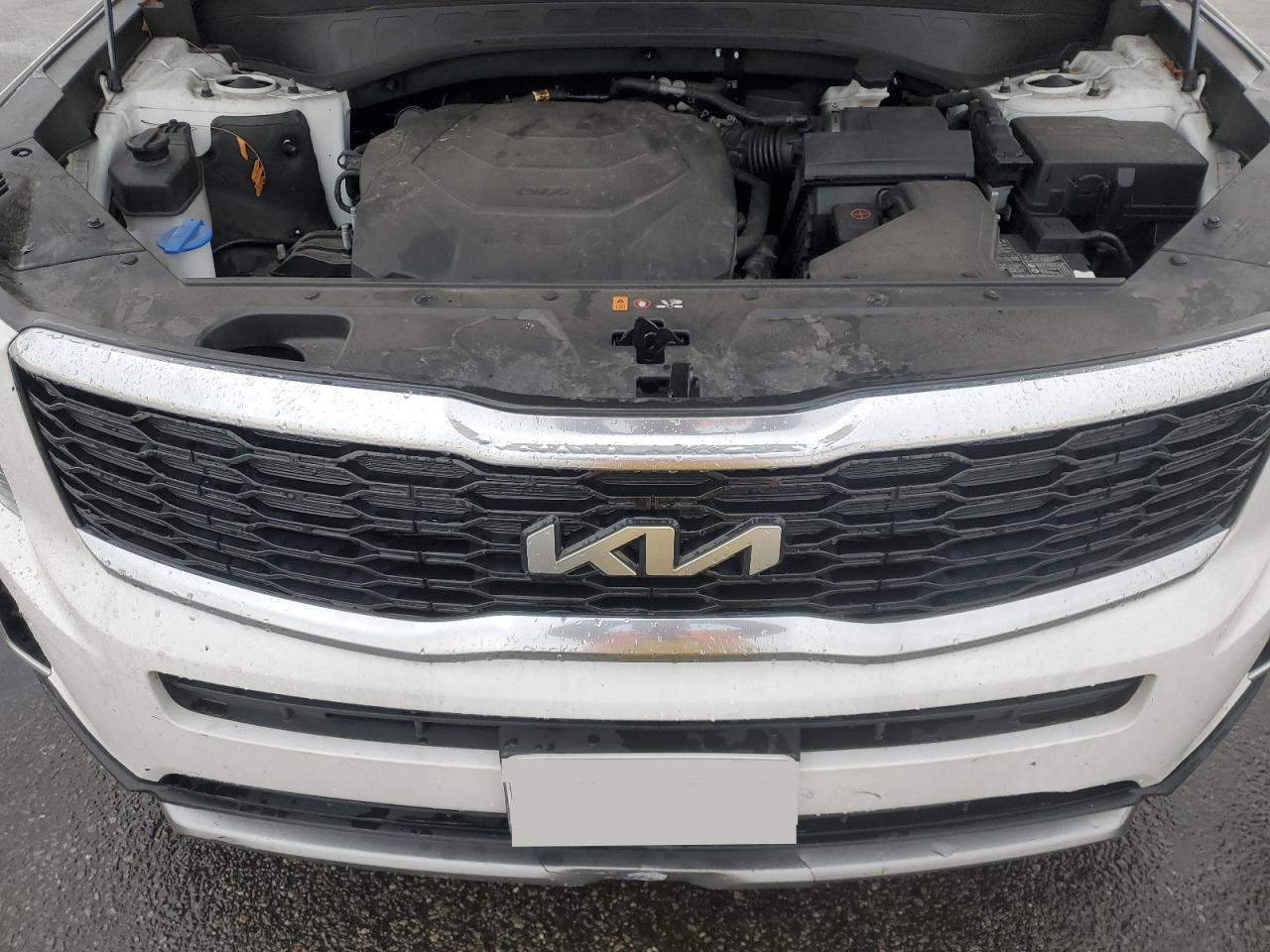 2022 Kia Telluride S VIN: 5XYP64HCXNG269384 Lot: 83379944