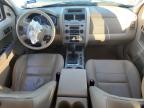 2012 Ford Escape Xlt for Sale in Wilmer, TX - Front End