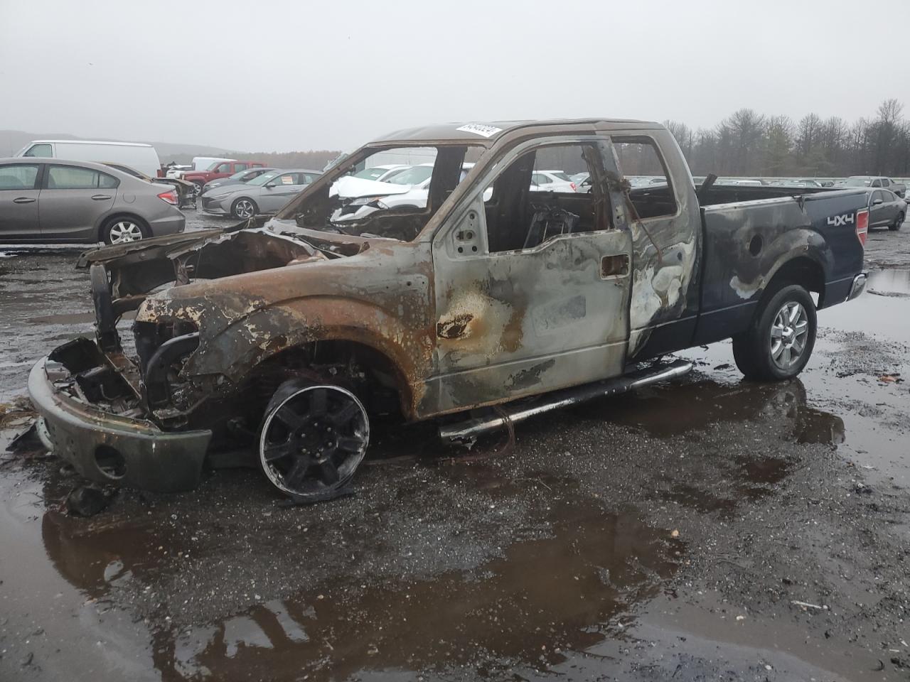 2013 Ford F-150 - Image 1