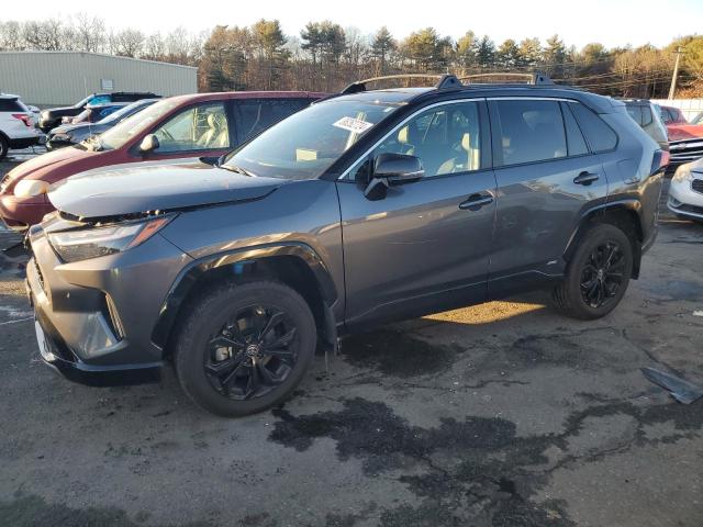  TOYOTA RAV4 2024 Gray