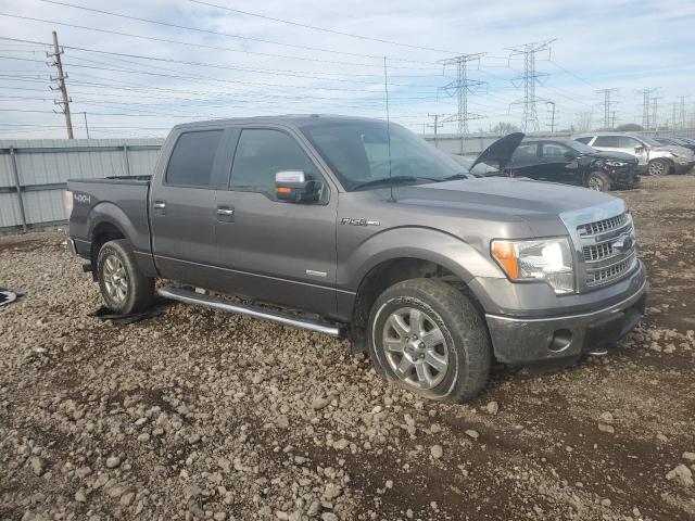  FORD F-150 2014 Szary