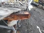 2024 Stou 53 Trailer for Sale in Earlington, KY - Burn