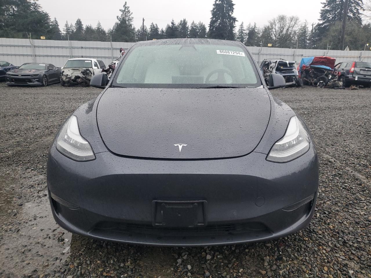 VIN 7SAYGDEE6NF343451 2022 TESLA MODEL Y no.5