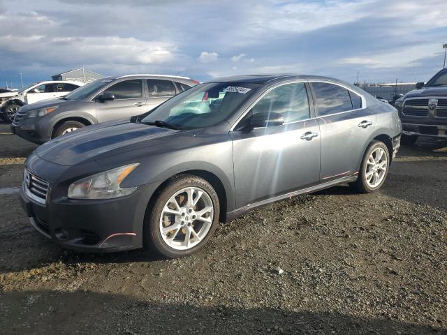  NISSAN MAXIMA 2013 Gray