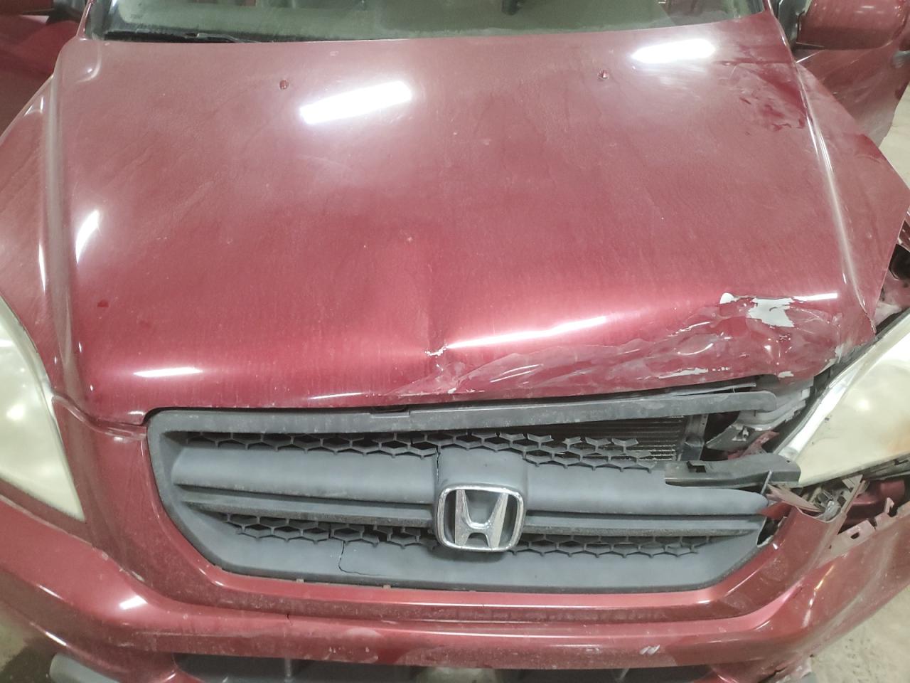 2005 Honda Pilot Exl VIN: 5FNYF18675B052198 Lot: 84488584