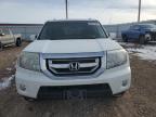 2009 Honda Pilot Exl на продаже в Rapid City, SD - Hail