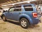 2010 Ford Escape Xlt იყიდება Wheeling-ში, IL - Front End