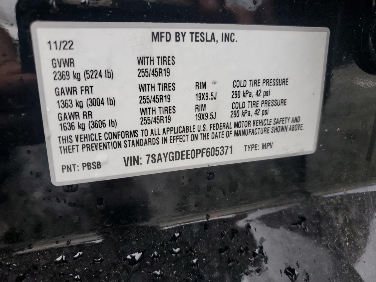 2023 Tesla Model Y VIN: 7SAYGDEE0PF605371 Lot: 81730184