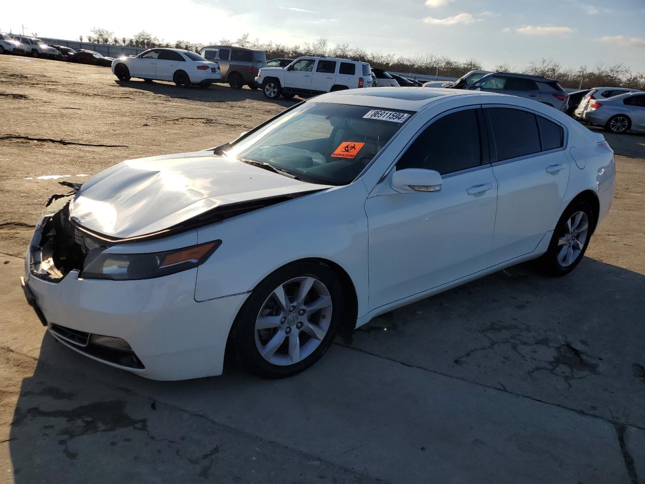 VIN 19UUA8F2XDA000532 2013 ACURA TL no.1