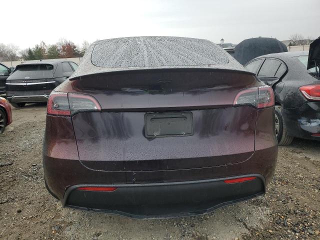  TESLA MODEL Y 2023 Фіолетовий