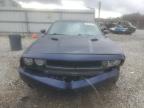 2013 Dodge Challenger Sxt for Sale in Prairie Grove, AR - Front End
