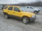 2003 Ford Escape Xlt for Sale in Prairie Grove, AR - All Over