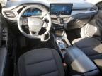 2023 Ford Escape Active for Sale in Brighton, CO - Front End
