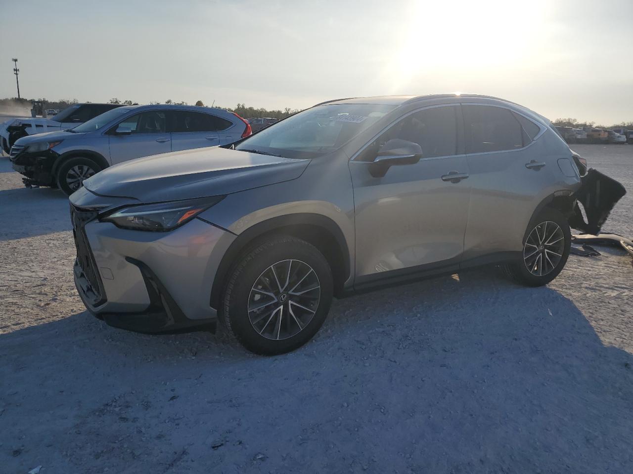 2023 Lexus NX - Image 1
