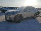 2023 LEXUS NX 250 à vendre chez Copart FL - PUNTA GORDA SOUTH