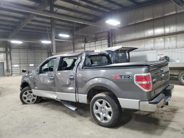 Pickups FORD F-150 2013 Szary