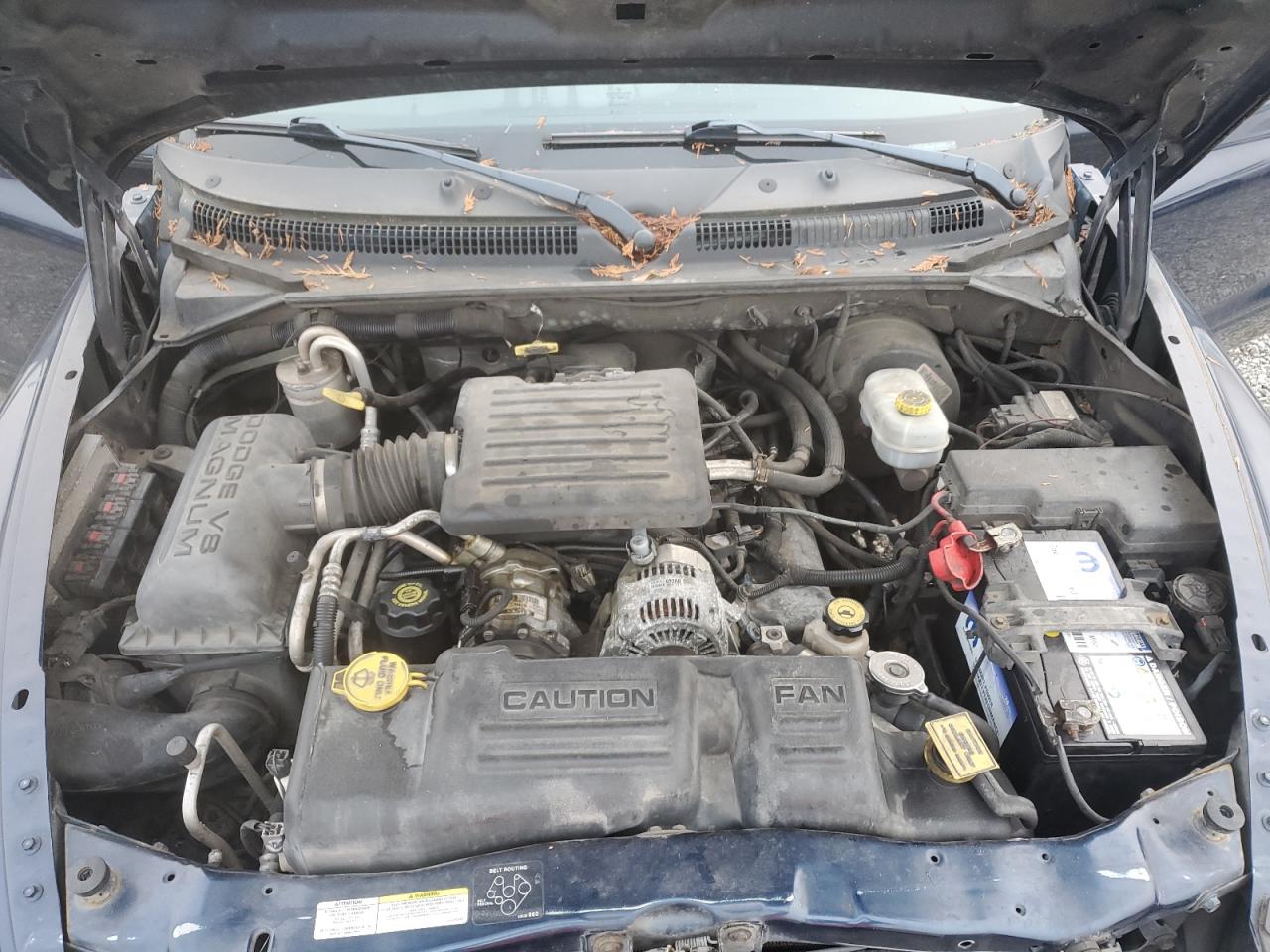 2003 Dodge Dakota - Image 11