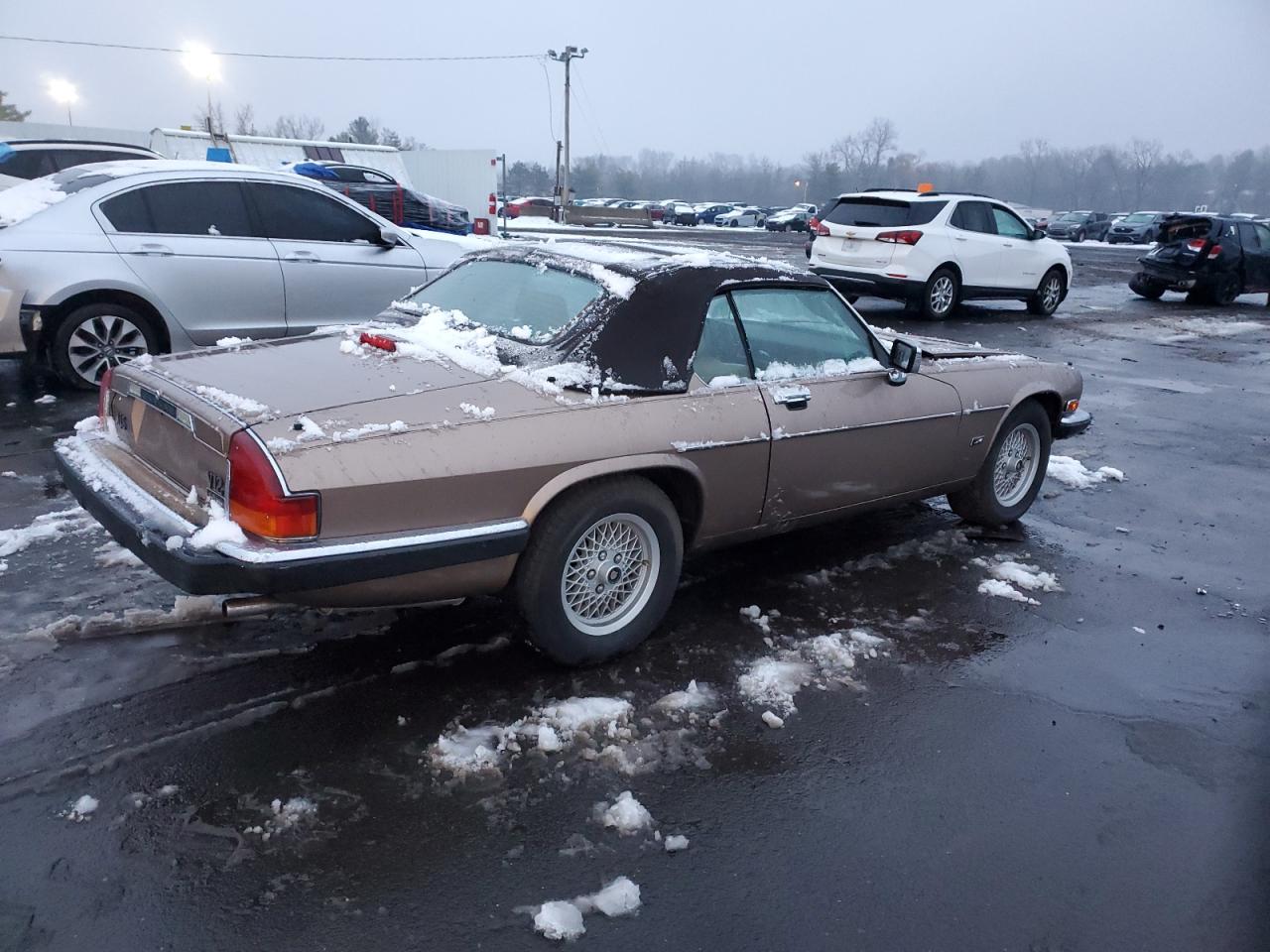 1990 Jaguar Xjs gold cabrio gas SAJNW4848LC174311 photo #4