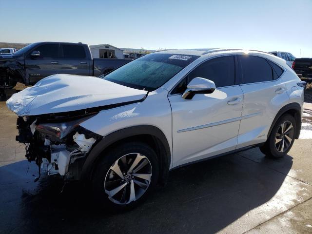 2019 Lexus Nx 300H იყიდება Grand Prairie-ში, TX - Front End