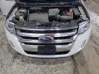 2014 Ford Edge Sel იყიდება Rogersville-ში, MO - Side