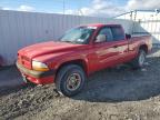 1998 Dodge Dakota  продається в Albany, NY - Normal Wear