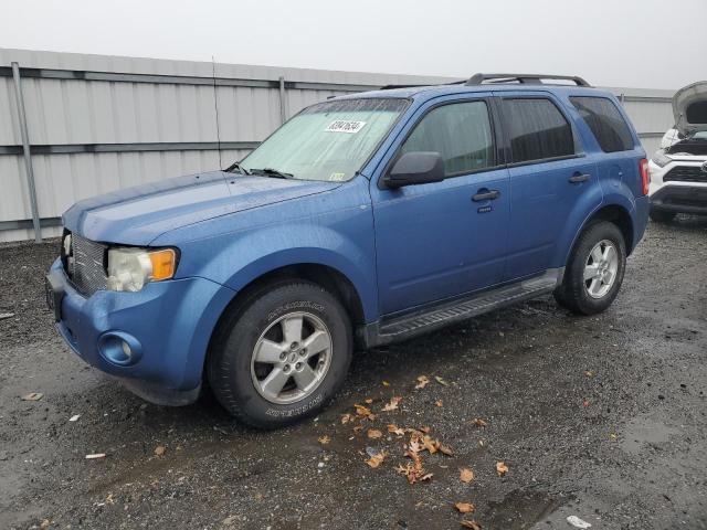 2010 Ford Escape Xlt zu verkaufen in Fredericksburg, VA - Front End