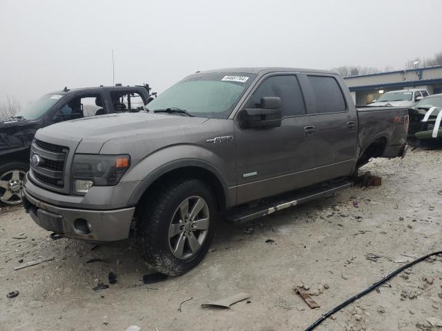  FORD F-150 2013 Szary