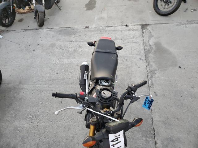 2025 HONDA GROM 125