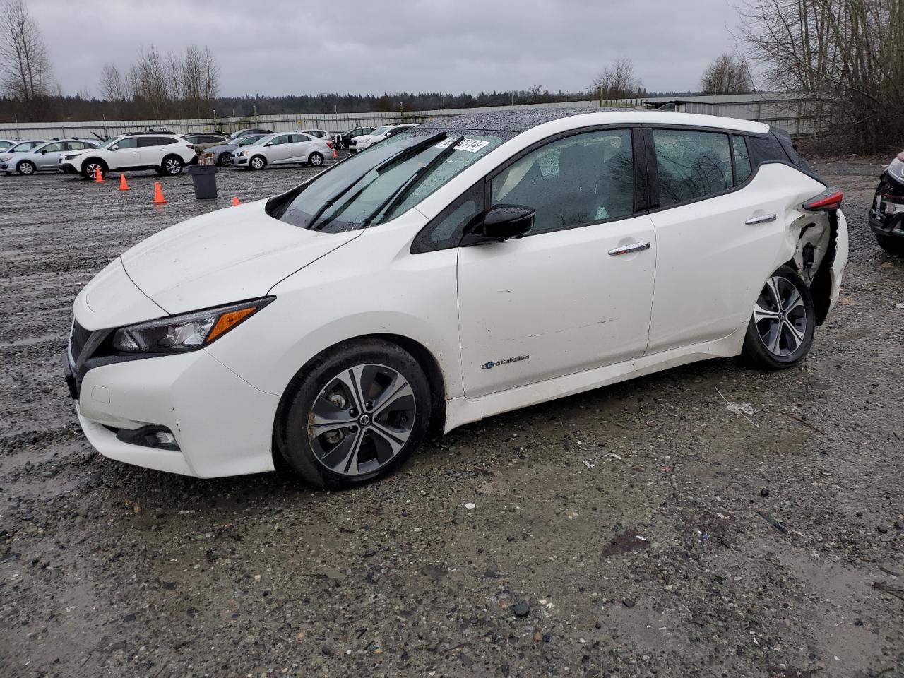 2019 Nissan Leaf - Image 1