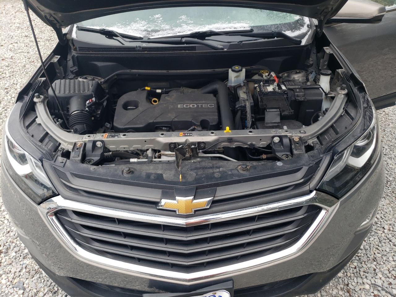 VIN 3GNAXUEV3KS554230 2019 CHEVROLET EQUINOX no.12